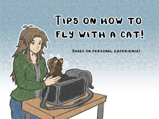 Tips on how to Fly with a Cat - Based on Personal Experience