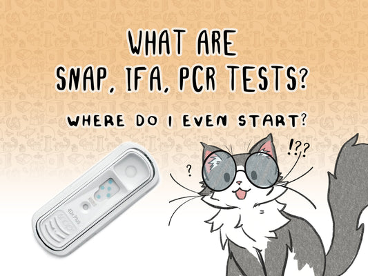 SNAP, IFA, PCR Tests? Where do I even start?