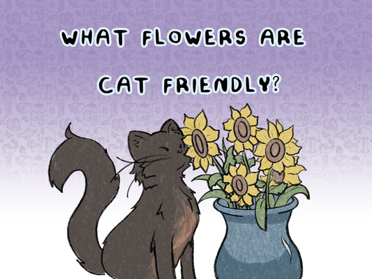 What flowers are Cat friendly?