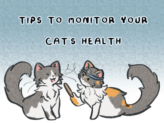 Tips to monitor your cat's health